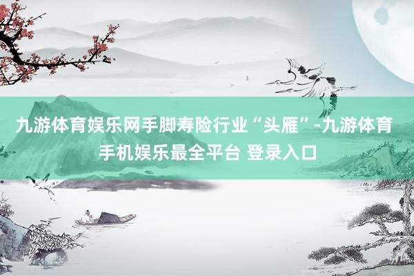 九游体育娱乐网手脚寿险行业“头雁”-九游体育 手机娱乐最全平台 登录入口