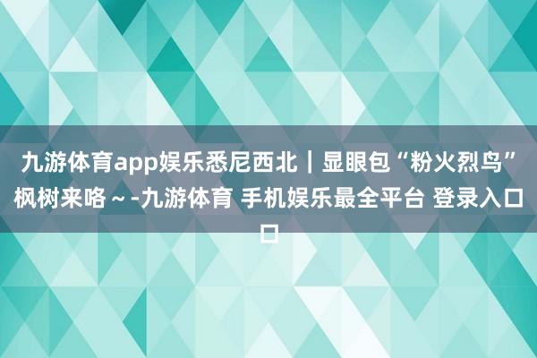 九游体育app娱乐悉尼西北|显眼包“粉火烈鸟”枫树来咯~-九游体育 手机娱乐最全平台 登录入口